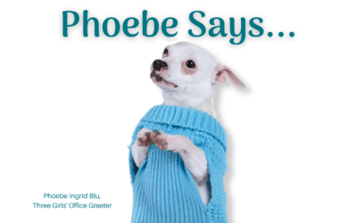 Phoebe Says … Prioritize Your Audience’s Needs Over Your Own