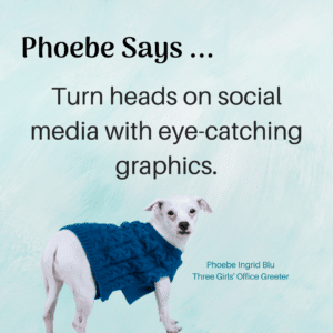 Small white dog giving social media advice